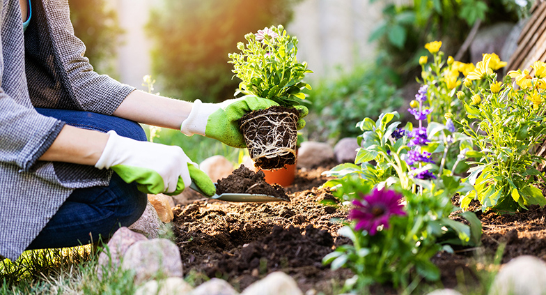 Gardening Tips And Tricks