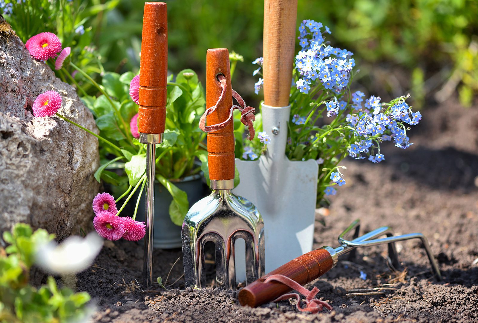 Sprucing Up Your Garden