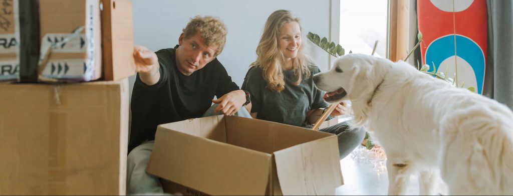 Déplacer des animaux de compagnie sur de longues distances