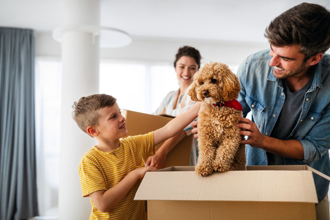 Simplifiez les déménagements longue distance pour vos animaux de compagnie avec Atlas Van Lines & Paws en Route
