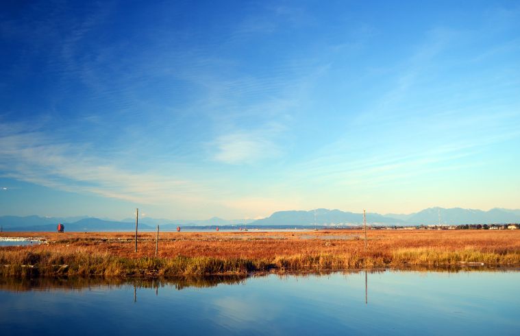 Le magnifique paysage marin de la Colombie-Britannique, au Canada. Ici, dans un petit village de pêcheurs traditionnel, à Stevenson, près de Richmond, les champs rouges d'automne rencontrent l'eau bleue sous un ciel d'un bleu éclatant.
