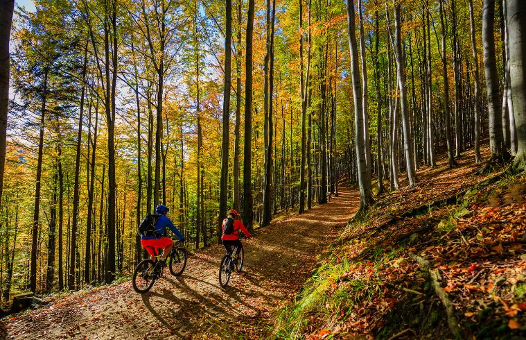 Deux personnes font du vélo sur un sentier boisé, entourées d'arbres et de verdure.